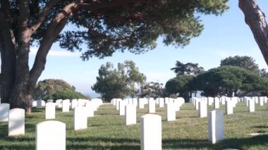 Amerikan askeri mezarlığının mezar taşları, ABD 'deki mezarlık..