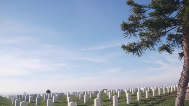 Tombstones on american military national memorial cemetery, graveyard in USA. — Stock Video