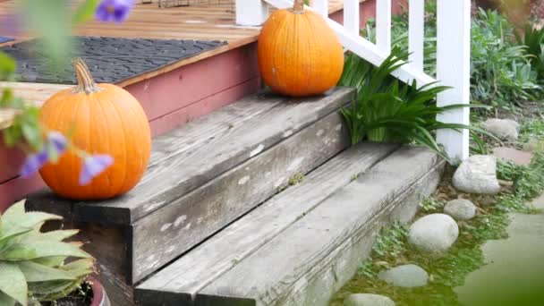 Dýňová halloween výzdoba před dveřmi na dvoře. Jack o lucerna na schodech. — Stock video