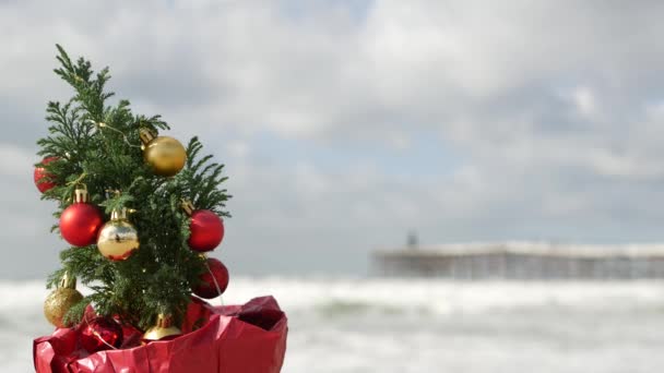 Árbol de Navidad en la playa de arena de mar, Año Nuevo en la costa del océano, Navidad en California. — Vídeo de stock