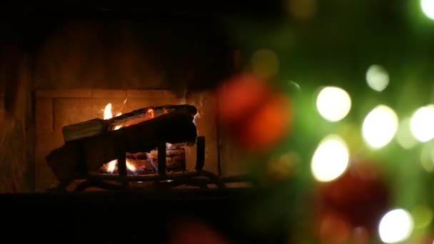 Χριστουγεννιάτικο δέντρο ανάβει με φωτιά στο τζάκι, παραμονή Πρωτοχρονιάς ή Χριστουγεννιάτικη διακόσμηση. — Αρχείο Βίντεο