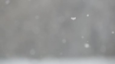 Kışın beyaz kar taneleri, kışın yağan kar taneleri..