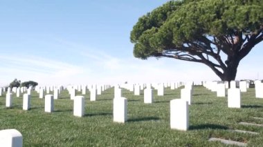 Amerikan askeri mezarlığının mezar taşları, ABD 'deki mezarlık..
