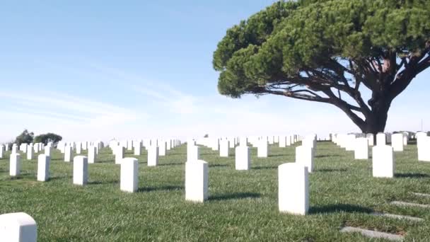 Grabsteine auf dem amerikanischen Soldatenfriedhof, Friedhof in den USA. — Stockvideo