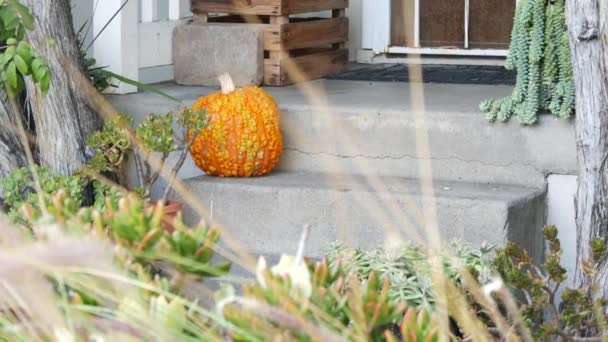 Calabaza decoración de halloween en frente de la puerta en el patio. Jack o linterna en las escaleras. — Vídeos de Stock