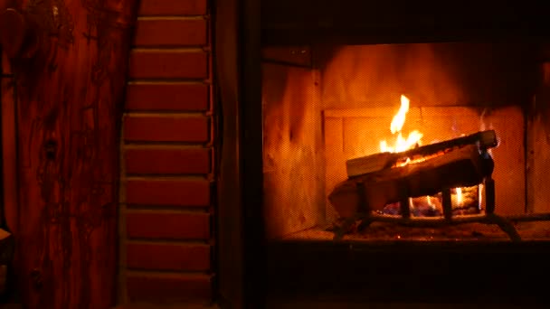 Tuğla şöminede ateş, yakacak odun, rahat bir kulübede odun yanması.. — Stok video