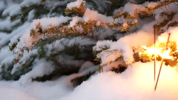 Sparkler fuegos artificiales quema, árbol de Navidad en la nieve, Año Nuevo o Navidad bengala luz — Vídeos de Stock