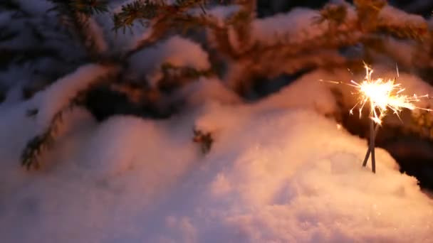 Fuochi d'artificio Sparkler, albero di Natale nella neve, Capodanno o luce del bengala di Natale — Video Stock