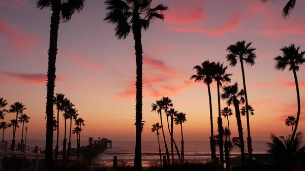 Palms és Alkonyat ég Kaliforniában USA-ban. Trópusi óceánparti naplemente atmoszféra. Los Angeles-i rezgések. — Stock Fotó