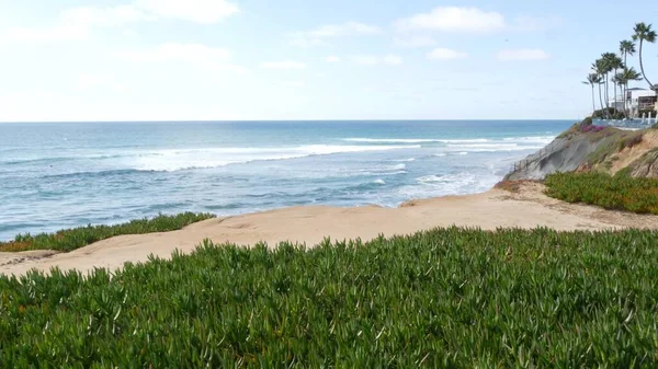 Widok na morze, wybrzeże Kalifornii USA. Fala oceaniczna, błękitna fala morska z widokiem. Soczysta roślina lodowa. — Zdjęcie stockowe