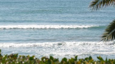 Pasifik Okyanusu gelgiti, Kaliforniya plajı ABD. Güneşli bir günde deniz dalgaları ve palmiye ağaçları. Yaz tatilleri.