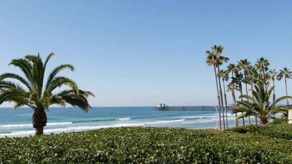 Pacific ocean beach, palm tree and pier. Tropical waterfront resort near Los Angeles California USA. — Stock Photo, Image