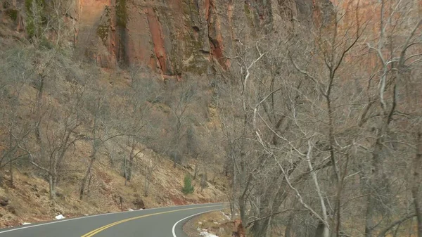 Autókirándulás, autókázás Zion Canyonban, Utah, USA. Stoppolok, utazom Amerikában, őszi utazás. Vörös idegen meredek sziklák, eső és csupasz fák. Ködös időjárás és nyugodt őszi hangulat. Kilátás autóból — Stock Fotó