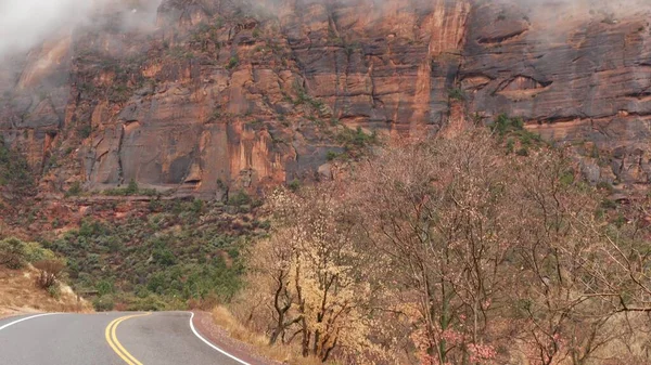 Vörös meredek sziklák Zion Canyonban, Utah, USA. Stoppolás, utazás Amerikában, őszi utazás. Eső, sziklák és csupasz fák. Ködös időjárás és nyugodt őszi hangulat. Sárga választóvonallal rendelkező út — Stock Fotó