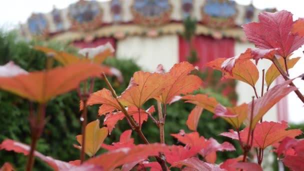 Carrousel vintage dans un parc d'automne, un cirque rétro ou une tente carrousel joyeuse. — Video