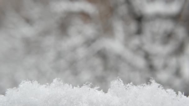Bílé sněhové vločky padající v zimě, sněhové vločky zimního vánočního sněžení. — Stock video