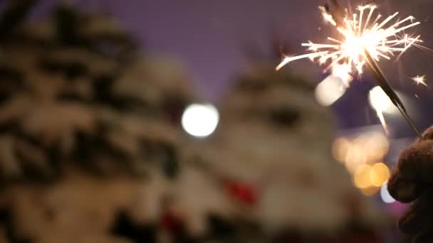 Sparkler fuegos artificiales quema, árbol de Navidad en la nieve, Año Nuevo o Navidad bengala luz — Vídeos de Stock