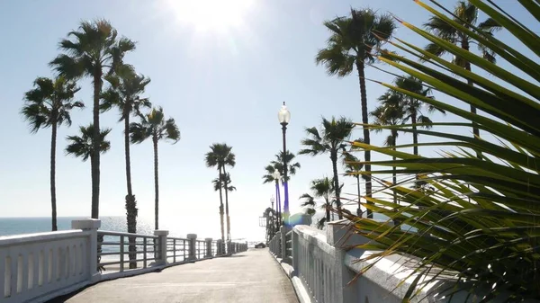 Palm trees and pier, tropical ocean beach, summertime California coast, sunny day USA. Dazzling sun — Stock Photo, Image