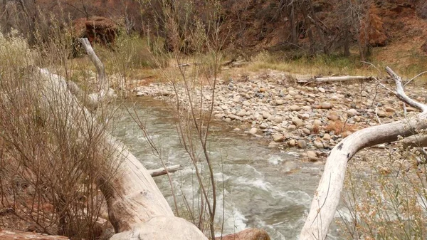 Rivière de montagne dans le parc national de Sion, automne dans l'Utah, États-Unis. Ruisseau dans le canyon rouge pluvieux, pierres de terre cuite et ruisseau. Météo brumeuse et atmosphère d'automne calme. Eco tourisme aux États-Unis d'Amérique — Photo