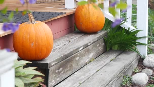 Κολοκύθα Halloween διακόσμηση μπροστά από την πόρτα στην αυλή. Jack o φανάρι στις σκάλες. — Αρχείο Βίντεο