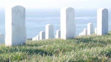 Amerikan askeri mezarlığının mezar taşları, ABD 'deki mezarlık..