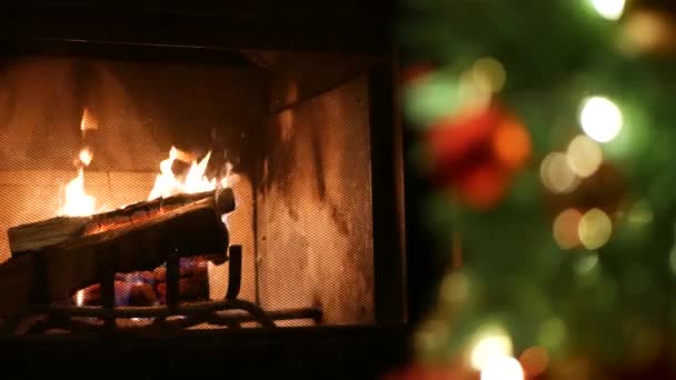 Şöminedeki ateşin yanında Noel ağacı ışıkları, yeni yıl ya da çam ağacının Xmas süslemesi. — Stok video