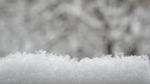 Fiocchi di neve bianchi che cadono in inverno, fiocchi di neve di nevicata invernale. — Video Stock