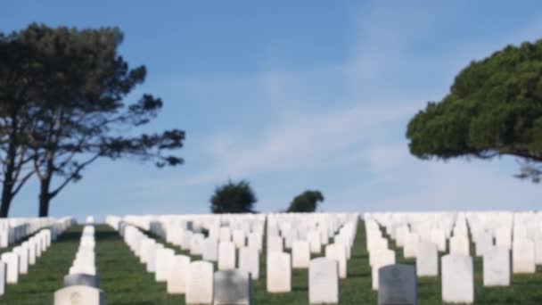 Pietre tombali sfocate, cimitero commemorativo militare americano, cimitero negli USA. — Video Stock