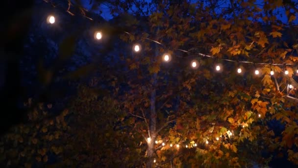 Желтые или оранжевые осенние кленовые листья и светящиеся гирлянды в уютных сумерках. — стоковое видео