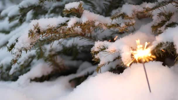 Sparkler fuegos artificiales quema, árbol de Navidad en la nieve, Año Nuevo o Navidad bengala luz — Vídeo de stock