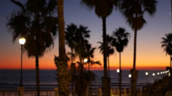 Defokted Palms, Twilight Sky, Kalifornia Egyesült Államok. Trópusi tengerparti naplemente hangulat. Los Angeles-i rezgések. — Stock Fotó