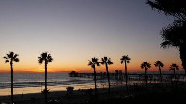 Kaliforniya 'da palmiyeler ve alacakaranlık gökyüzü. Tropik okyanus sahili günbatımı atmosferi. Los Angeles titreşimleri.