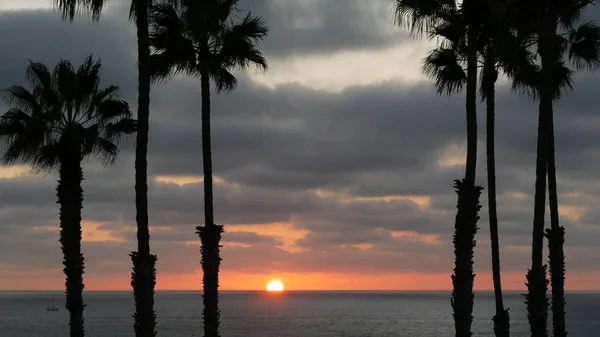 Palms and twilight sky in California USA. Tropical ocean beach sunset atmosphere. Los Angeles vibes. — Stock Photo, Image