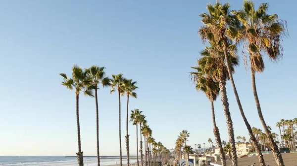 Palm tree perspectief in Oceanside, California waterfront Pacific Ocean Tropical Beach Resort, Verenigde Staten. — Stockfoto