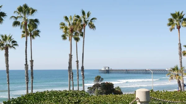 Pacific ocean beach, palm tree and pier. Tropical waterfront resort near Los Angeles California USA. — Stock Photo, Image