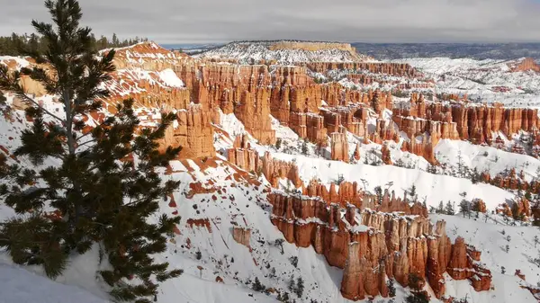 Bryce Canyon in winter, snow in Utah, USA. Hoodoos in amphitheater, eroded relief, panoramic vista point. Unique orange formation. Red sandstone, coniferous pine or fir tree. Eco tourism in America — Stock Photo, Image