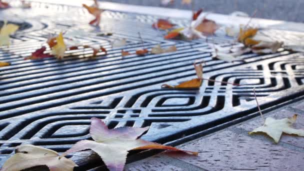 Feuilles d'érable tombées à l'automne jaune sec, grille métallique sur le sol de la rue américaine. — Video