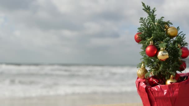 Árbol de Navidad en la playa de arena de mar, Año Nuevo en la costa del océano, Navidad en California. — Vídeos de Stock