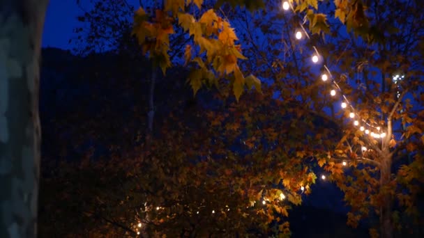 Sárga vagy narancssárga őszi juharfa levelek és ragyogó koszorú hangulatos szürkület. — Stock videók