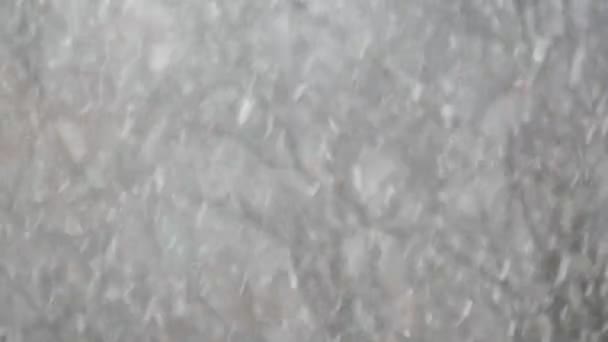 Bílé sněhové vločky padající v zimě, sněhové vločky zimního vánočního sněžení. — Stock video