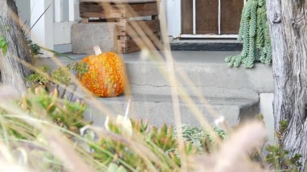 Calabaza decoración de halloween en frente de la puerta en el patio. Jack o linterna en las escaleras. — Vídeos de Stock