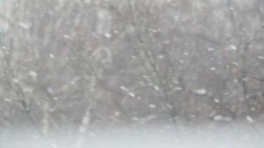 Kışın beyaz kar taneleri, kışın yağan kar taneleri..