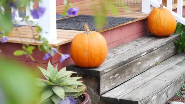 Tökhalloween dekoráció az ajtó előtt az udvaron. Jack o lámpás a lépcsőn. — Stock videók