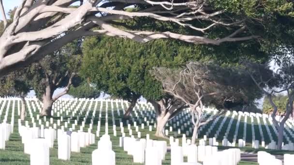 Amerikan askeri mezarlığının mezar taşları, ABD 'deki mezarlık.. — Stok video
