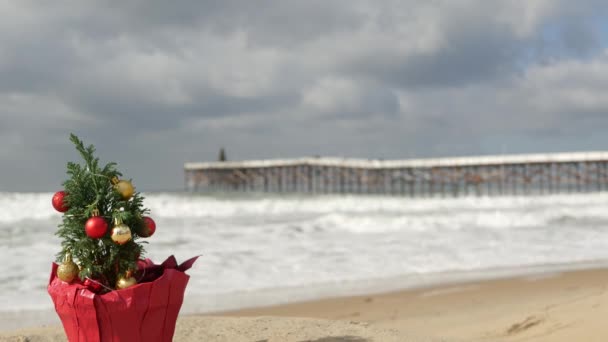 在沙滩上的圣诞树，在海滨的新年，加利福尼亚的圣诞. — 图库视频影像