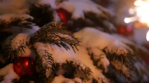 Árbol de Navidad en la nieve, fuegos artificiales chispeantes quema, Año Nuevo o Navidad bengala luz — Vídeos de Stock