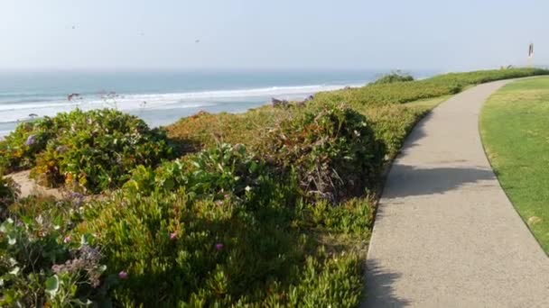 Seagrove park en Del Mar, California, EE.UU. Césped junto al mar. Verde hierba y vista al mar frome por encima. — Vídeo de stock