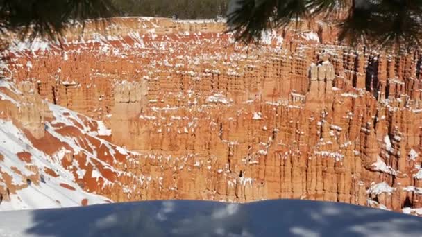 Bryce Canyon télen, hó Utah-ban, USA. Hoodoos amfiteátrumban, erodált dombormű, panorámás kilátó. Egyedülálló narancssárga alakzat. Vörös homokkő, tűlevelű fenyő vagy fenyő. Ökoturizmus Amerikában — Stock videók