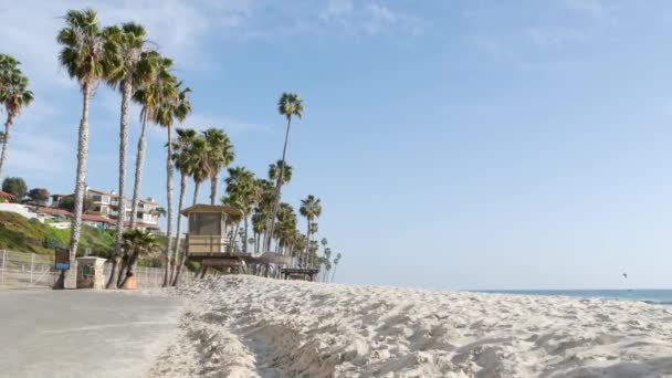 Пальмові дерева на білому піщаному пляжі, узбережжі океану в Каліфорнії. Рятувальна вежа, сторожова хатина.. — стокове відео
