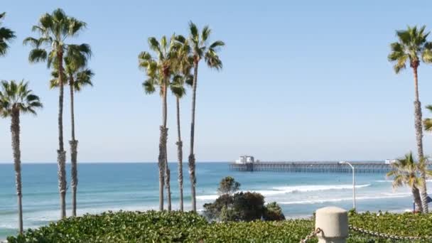 Strand am Pazifik, Palme und Pier. Tropisches Waterfront Resort in der Nähe von Los Angeles Kalifornien USA. — Stockvideo